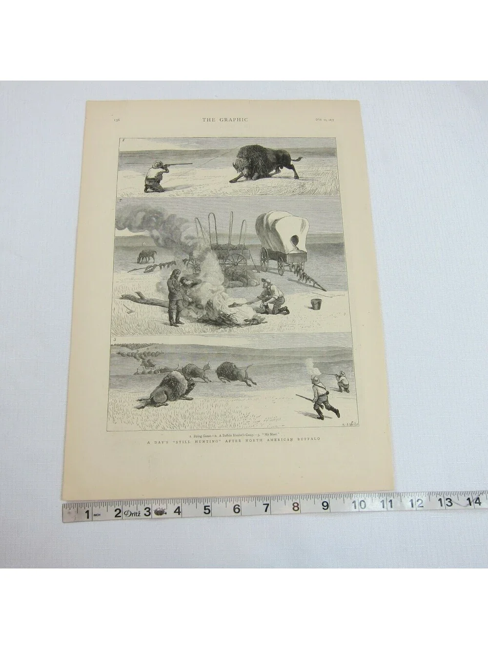 Antique 1877 Print A Days Still Hunting After North American Buffalo The Graphic